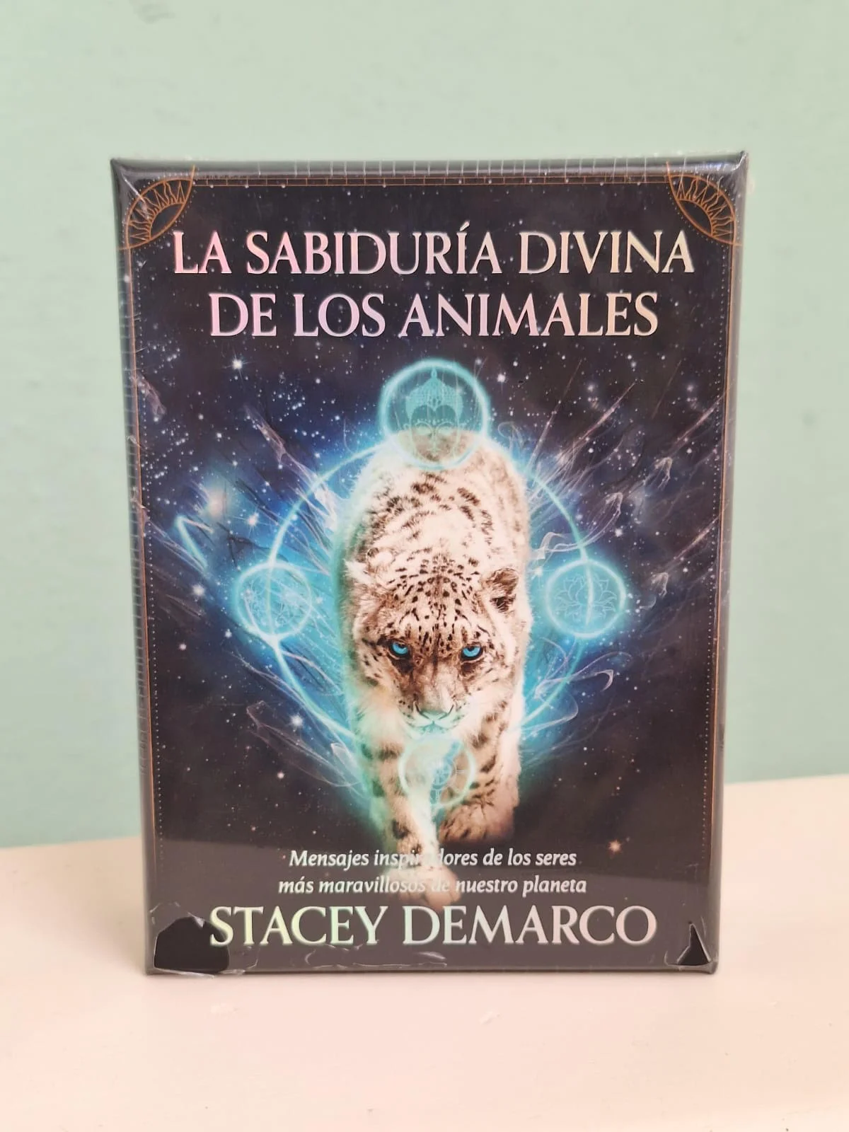 La sabiduría Divina de los Animales