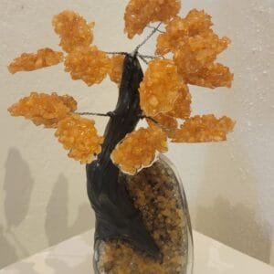 STONE TREE N5A