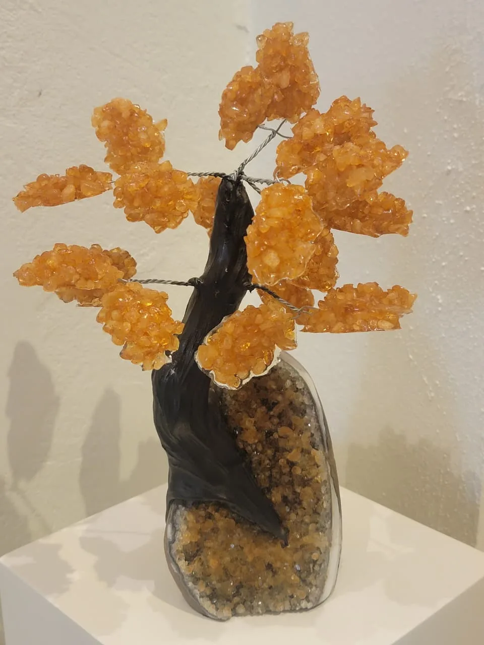 STONE TREE N5A