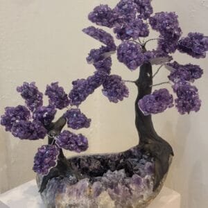 STONE TREE N6A+