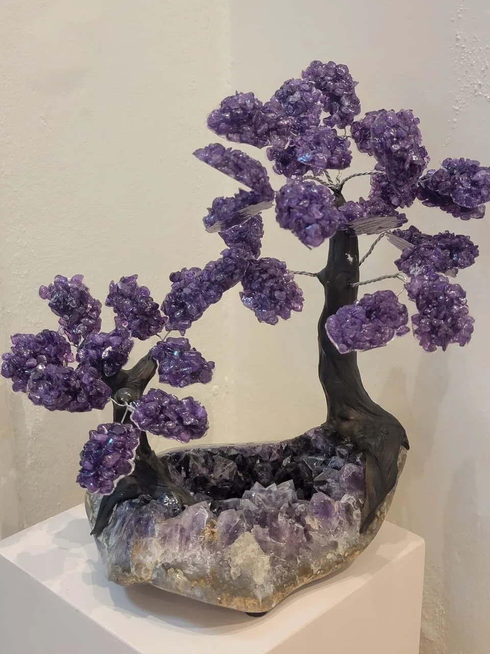 STONE TREE N6A+